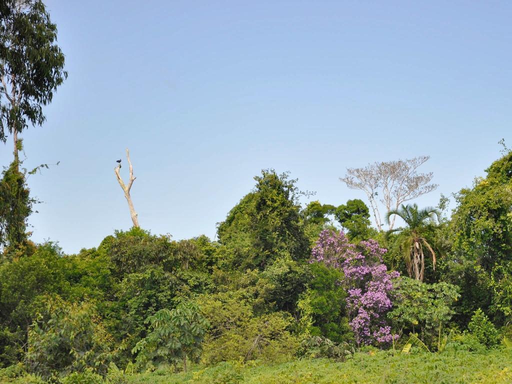 Village Mata Encantada Santo Andre  Bagian luar foto